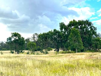 Lot 95/ Old Rosemount Road Kulpi QLD 4352 - Image 3