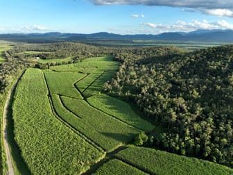 Calen QLD 4798 - Image 1
