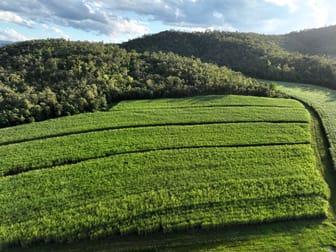 Calen QLD 4798 - Image 2