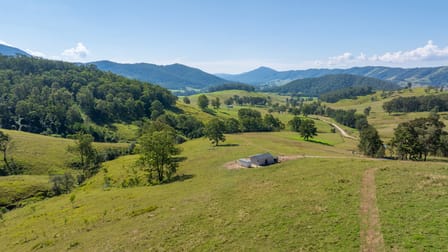 71 Moores Road Dungog NSW 2420 - Image 2