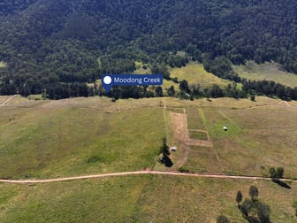 Lot 23 1118 Neringla Road Braidwood NSW 2622 - Image 3