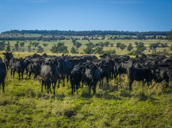 Marrington East 41R Mendooran Road Dubbo NSW 2830 - Image 2
