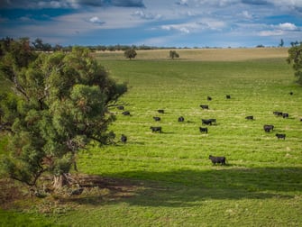 Talbragar 42R Mendooran Road Dubbo NSW 2830 - Image 1