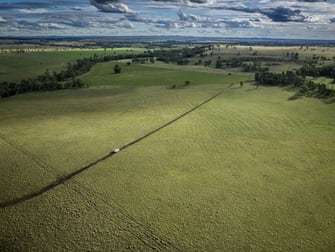 Talbragar 42R Mendooran Road Dubbo NSW 2830 - Image 2