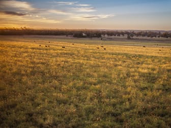 Talbragar 42R Mendooran Road Dubbo NSW 2830 - Image 3