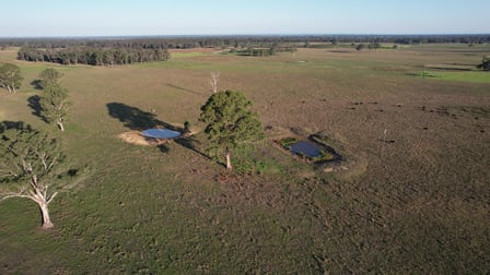670 Fernbank-Glenaladale Road Fernbank VIC 3864 - Image 1