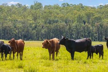 Click to view all images 771 Ewingar Road Ewingar NSW 2469 - Image 1