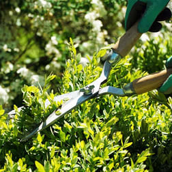 Cleaning Services  business for sale in NSW - Image 3