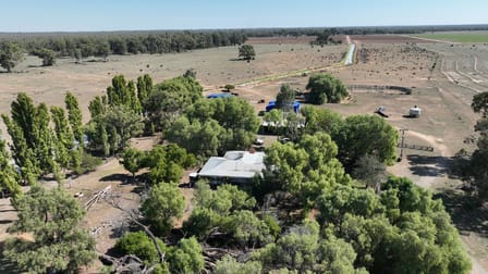 "Morago" 2297 Pretty Pine Road Deniliquin NSW 2710 - Image 1