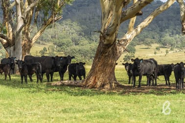 660 Horseshoe Road Martindale NSW 2328 - Image 2