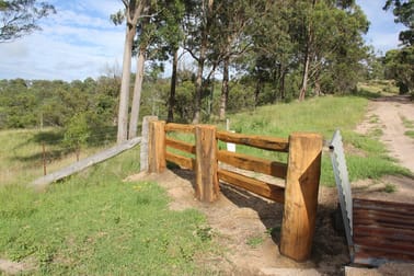 155 Daisy Mount Road Tenterfield NSW 2372 - Image 3
