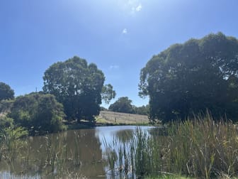 274 Dingup Road Manjimup WA 6258 - Image 2