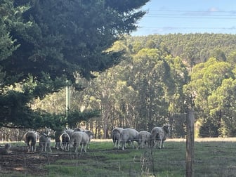 274 Dingup Road Manjimup WA 6258 - Image 3
