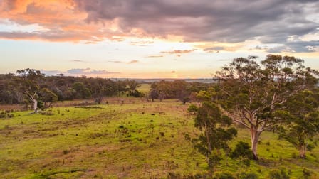 272 Inverary Road Paddys River NSW 2577 - Image 1