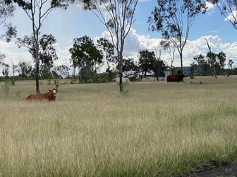 51 Spring Creek Road, Wycarbah QLD 4702 - Image 1
