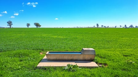 322 Balcarry Lane Tamworth NSW 2340 - Image 3
