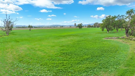 Balcary & Hazelwood Balcarry Lane Tamworth NSW 2340 - Image 2