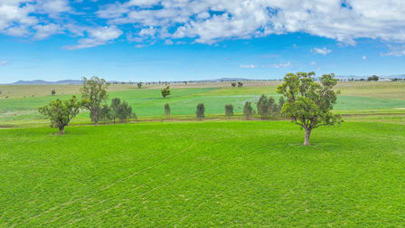 Balcary & Hazelwood Balcarry Lane Tamworth NSW 2340 - Image 3