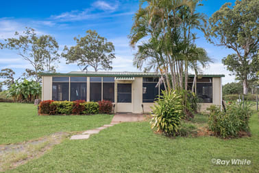 243 Dairy Inn Road Cawarral QLD 4702 - Image 3