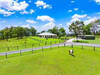 8115 Mount Lindesay Highway Josephville QLD 4285 - Image 1