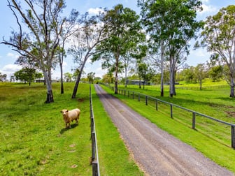 8115 Mount Lindesay Highway Josephville QLD 4285 - Image 3