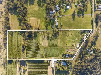 75 Waratah Road Mangrove Mountain NSW 2250 - Image 1