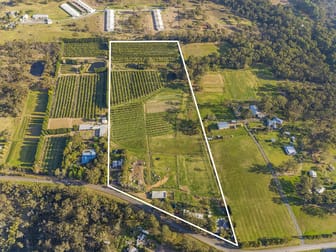 75 Waratah Road Mangrove Mountain NSW 2250 - Image 2