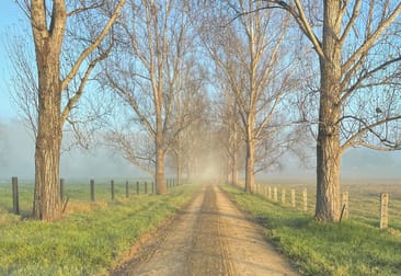 Click to view all images 1301 Chichester Dam Road, Bandon Grove, Via Dungog NSW 2420 - Image 1