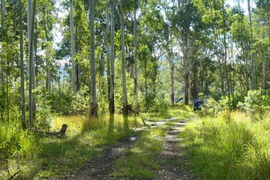 146 Mills Road Bean Creek NSW 2469 - Image 3
