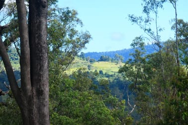 146 Mills Road Bean Creek NSW 2469 - Image 2