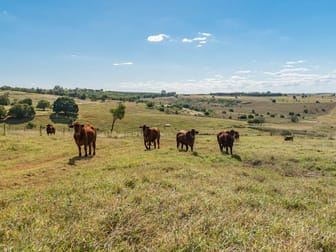 286 Huxley Road North Isis QLD 4660 - Image 2