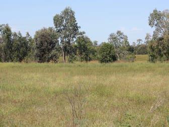 444 Jambin Goovigen Road Goovigen QLD 4702 - Image 1