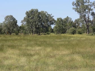 444 Jambin Goovigen Road Goovigen QLD 4702 - Image 3