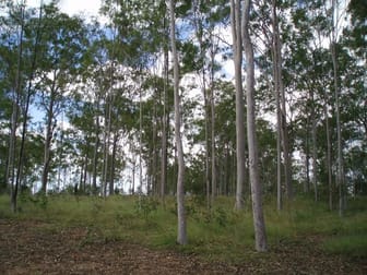 Pine Creek QLD 4670 - Image 1