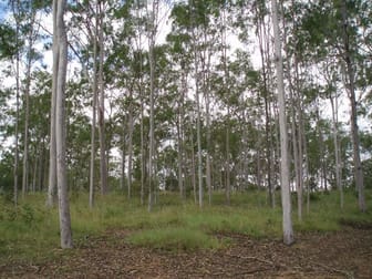 Pine Creek QLD 4670 - Image 2