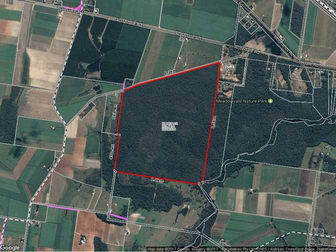 Lot 73 Lot 73 Heales Road Meadowvale QLD 4670 - Image 1