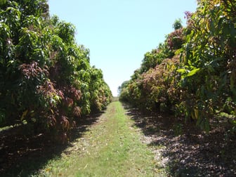 Redhill Farms QLD 4671 - Image 3
