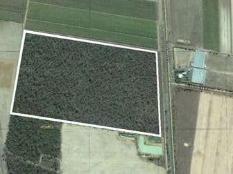 Goodwood Road Alloway QLD 4670 - Image 1