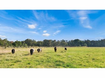 665 Nicholson-Sarsfield Road Sarsfield VIC 3875 - Image 3