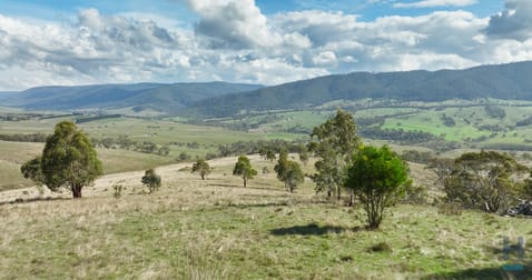 135 Leonard Drive Omeo VIC 3898 - Image 2