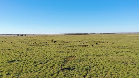 24265 Moonie Highway St George QLD 4487 - Image 1