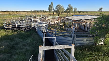 24265 Moonie Highway St George QLD 4487 - Image 3