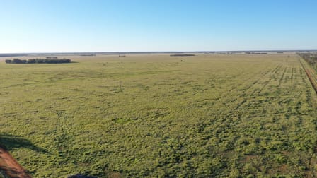 24265 Moonie Highway St George QLD 4487 - Image 2