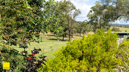 59 Drummond Road Rosenthal Heights QLD 4370 - Image 3