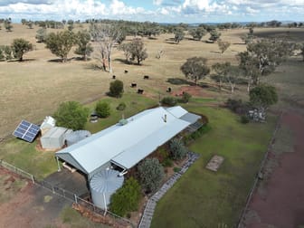 'Stampede' 200R Obley Road Dubbo NSW 2830 - Image 3
