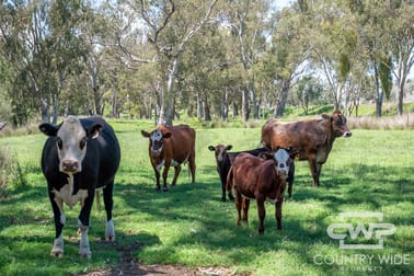 63, 9699 Bruxner Way Bonshaw NSW 2361 - Image 2