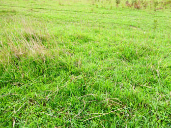 100 Earls Road Nelson VIC 3292 - Image 3