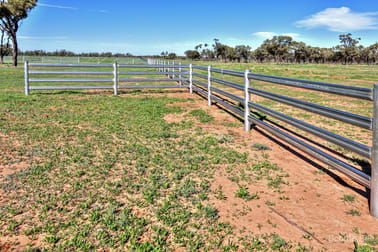 Narran Lake Road Brewarrina NSW 2839 - Image 1