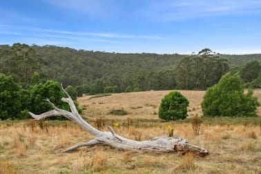 35 Roadknight Creek Road Forrest VIC 3236 - Image 2