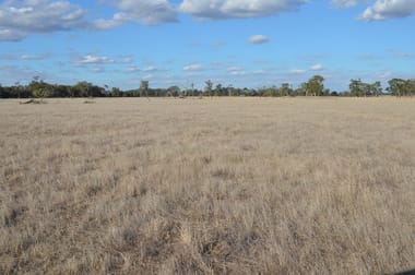 1898 Patyah Road Edenhope VIC 3318 - Image 3